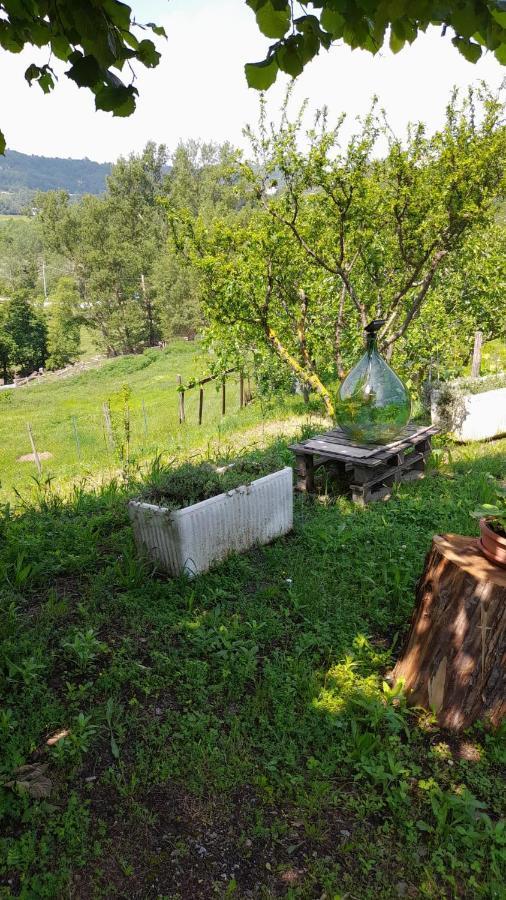 B&B La Casa Del Daino Millesimo Luaran gambar